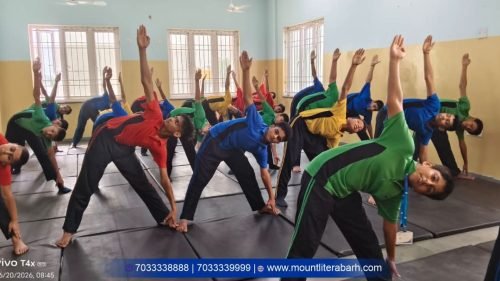 mlzs-gallery (13)