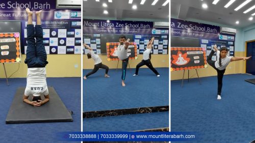 mlzs-gallery (14)